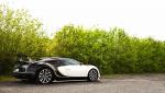 Bugatti Veyron 16.4 Linea Vivere by Mansory 2014 года